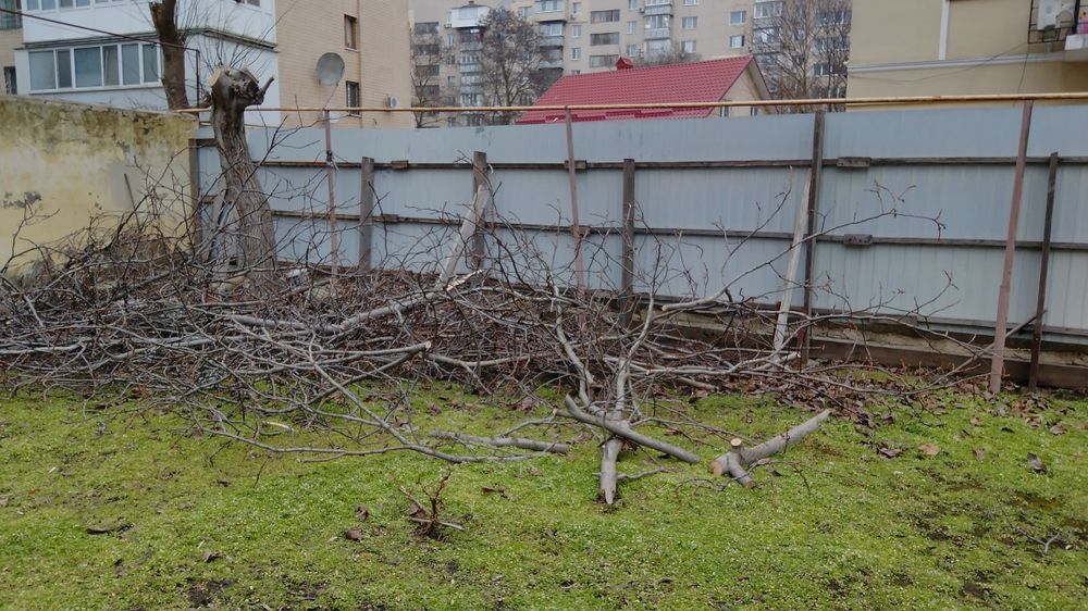 Горіх на дрова безкоштовно