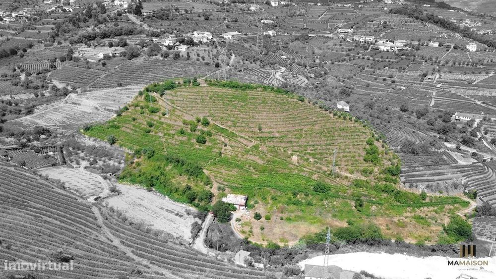 Quinta Das Lamas | + De 2 Hectares | Douro