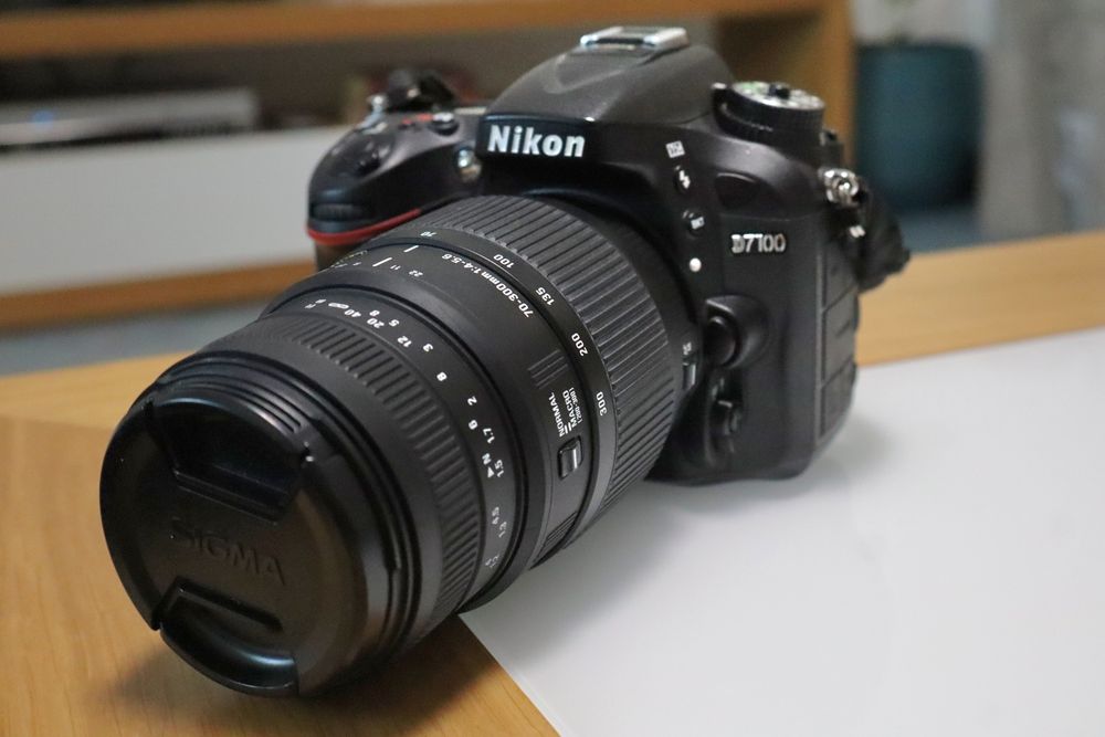 Nikon D7100 + Sigma 70-300mm