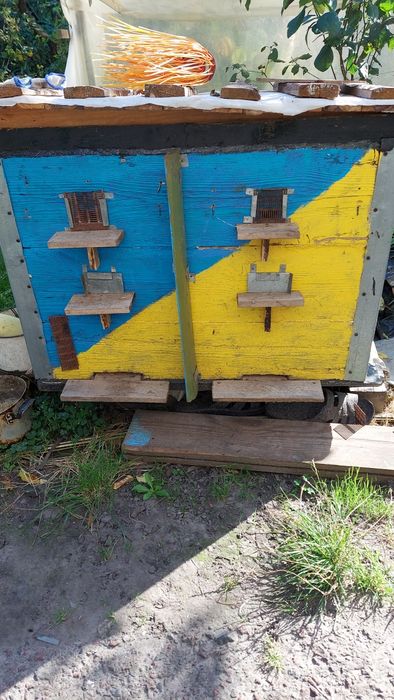 Вулики, улики, рамки