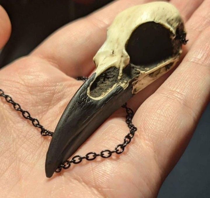 Череп вороны в готическом стиле