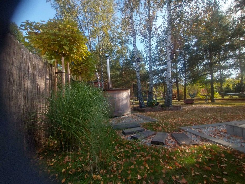 Domek Przy Lesie koło Sielpi