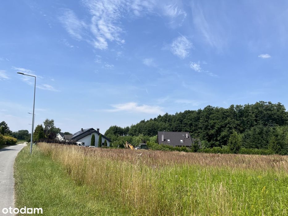 Działka 938 m² przy lesie – szybki dojazd do Wrocławia