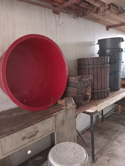 Tina de vindima 100 lts