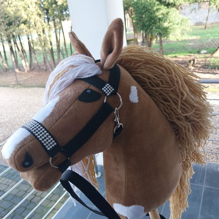 Hobby Horse-koń na kiju