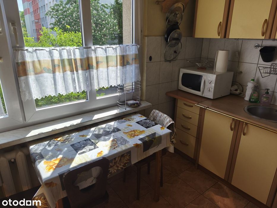 Mieszkanie 4-pokojowe z balkonem w Katowicach