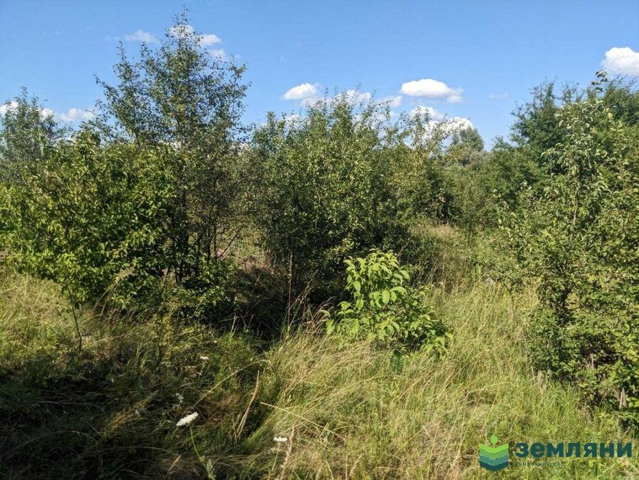 Продається ділянка 10.5 сот під будову Клузів (8)
