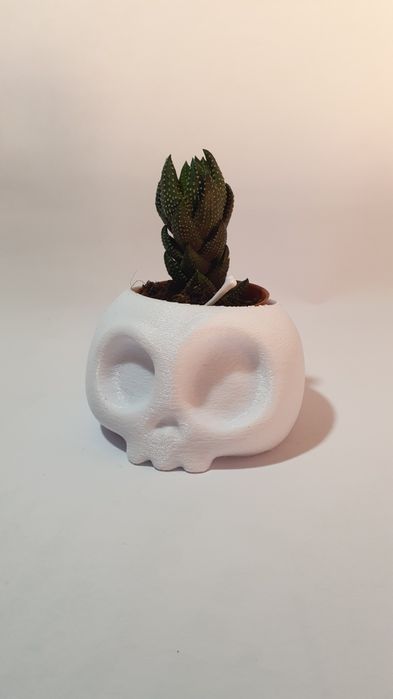 Vaso de caveira branco
