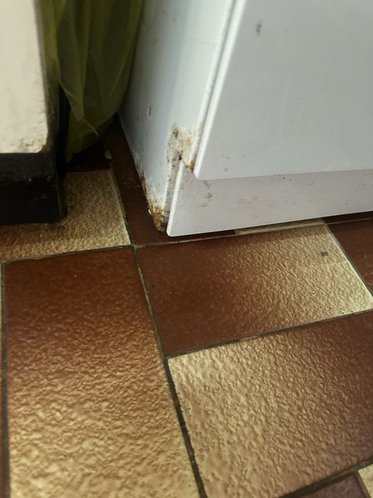 Fogão   INDESIT