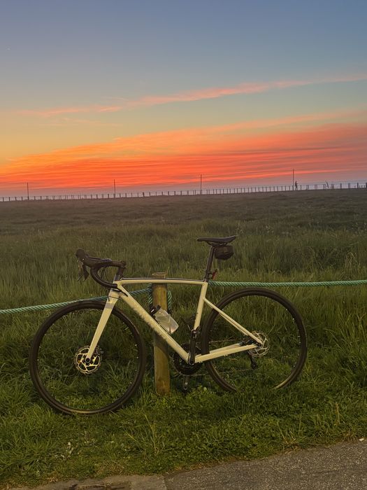 Van Rysel NCR AF 2026 — Tiagra 2x10 | Rodas Mavic Upgrade