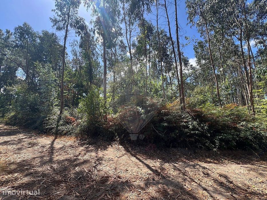 Terreno  para venda