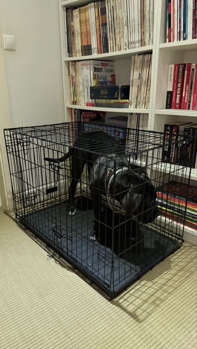 Crate/Jaula  para cães  (NUNCA USADO)