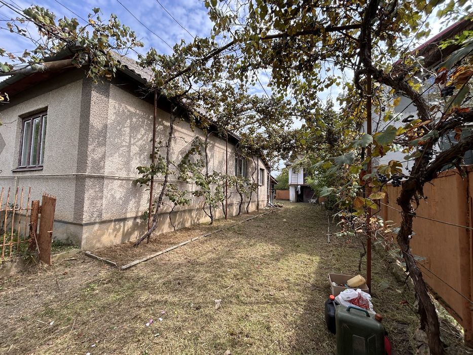 5-кімнатний будинок з площею 0,25 га 6 км від Берегове