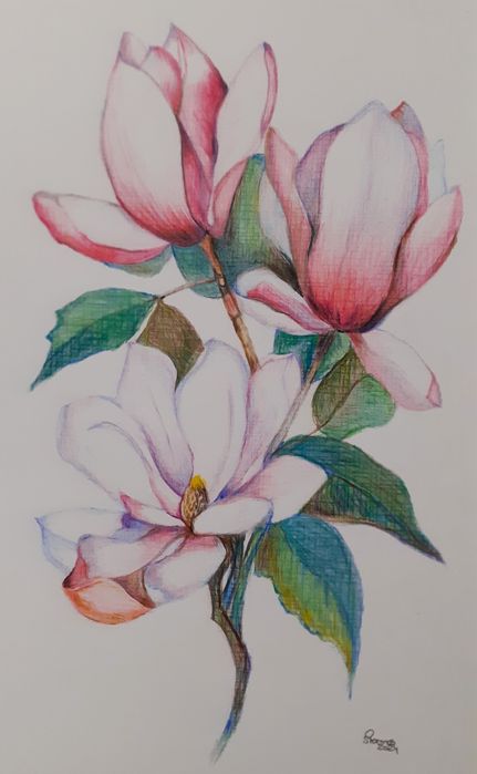Pintura e Ilustração botânica em papel ou tela
