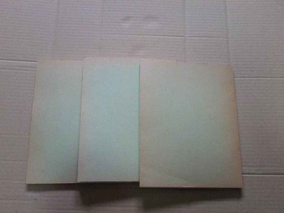 Curso Pratico de desenvolvimento da Memória - 3 Volumes