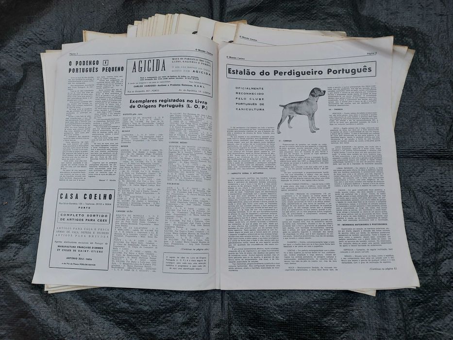 O Mundo Canino-Publicação Mensal-Porto-1969/73 (Completo)