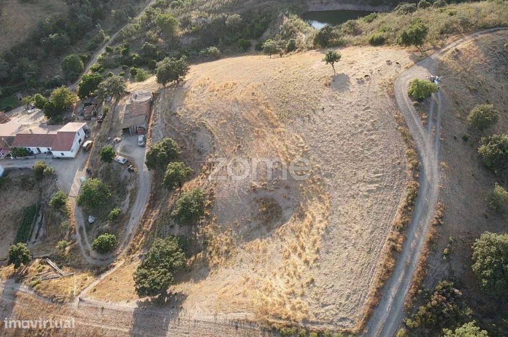 Terreno Rústico em Monte Alto, São Bartolomeu de Messines c/ 8.680m... — São Bartolomeu de Messines, Faro