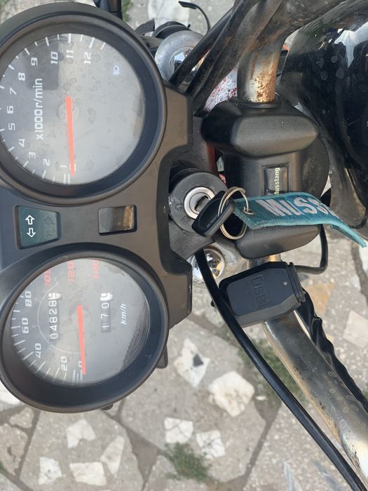 Альфа мустанг 125