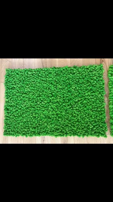 Panele z Mchu Chrobotka panel z Mech Chrobotek