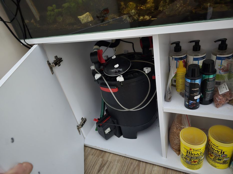 Akwarium 375l z życiem