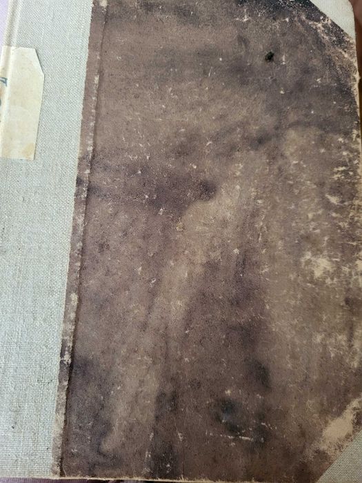 "Kasztanka" Antoni  Czechow 1949 rok