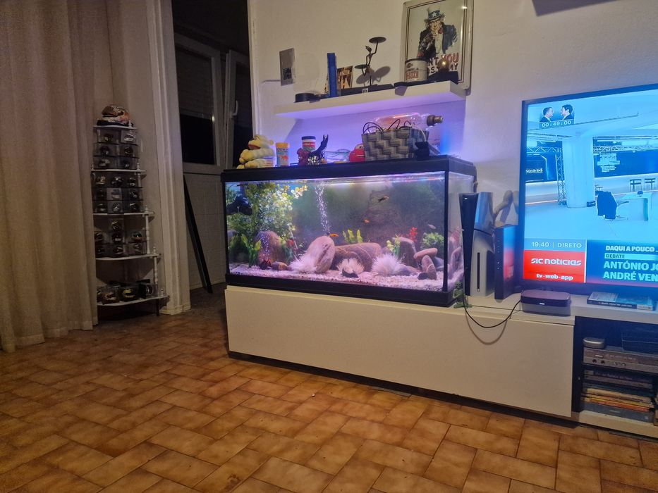 Aquário de 1 metro
