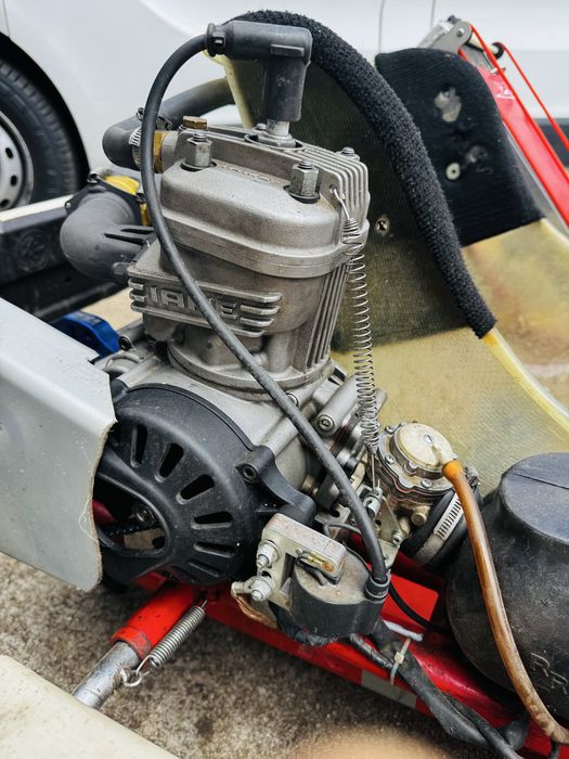 Kart Birel 125CC - IAME X30 + Alfano + Muitos Extras