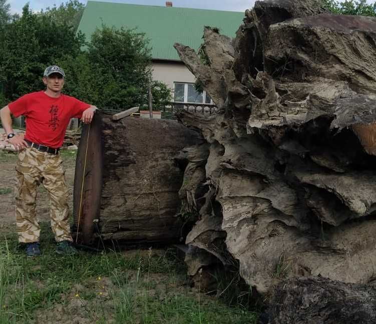 Deska czarny dąb