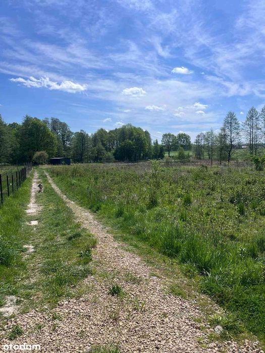 Wynajem ogrodkow działkowych 200 - 600m2 MIKOLOW GNIOTEK