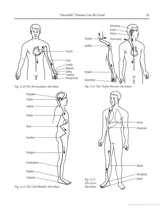 "The Art of Chi Kung: Making the Most of Your Vital Energy" -> RARO ...