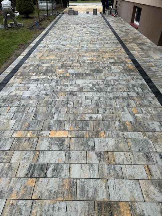 Kostka brukowa Forbet Zeno Parhenon 6 cm muszla od ręki, transport hds