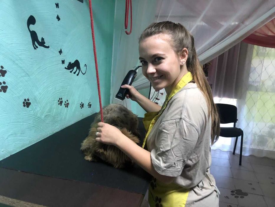 Салон стрижек для собак & котів, на старій "Дзержинці"