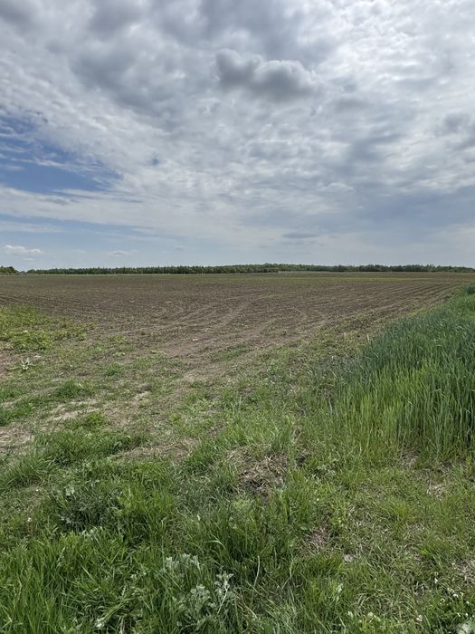 Продам ділянку 5.8 га біля житлового масиву