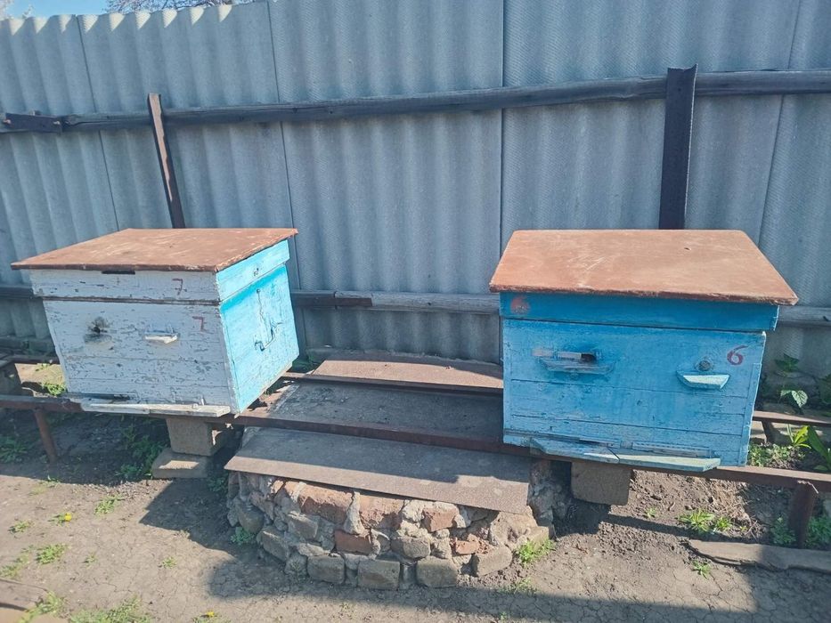 Продажа пчелосемей