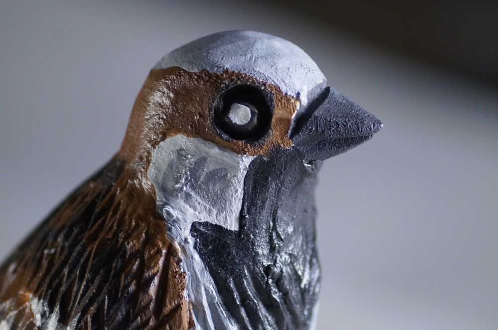 Sony DT 55-200mm f/4-5.6 SAM (SAL55200) Sony A