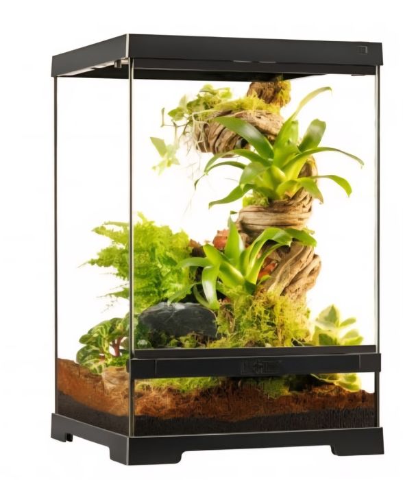 Terrarios deferentes tamanhos