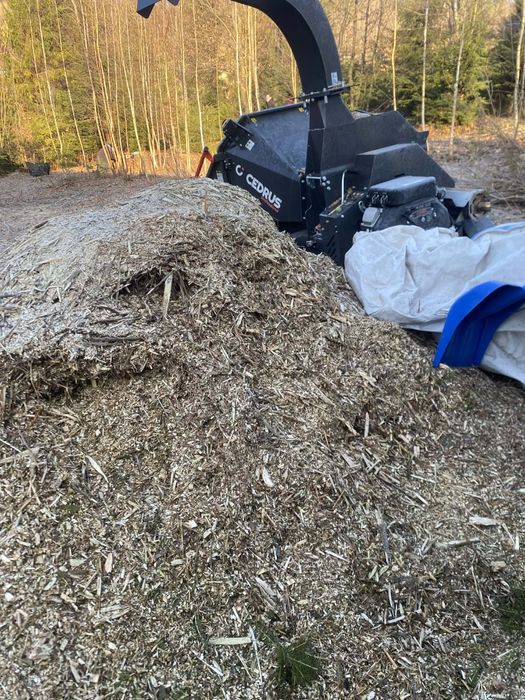 Czyszczenie działek,wycinka drzew