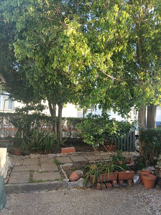 Casa para vendaT3 com cave