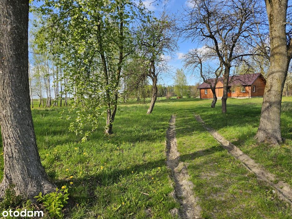 1,95ha siedliska na KOLONII,bez sasiadów Domz Bali PODLASIE GREGOROWCE