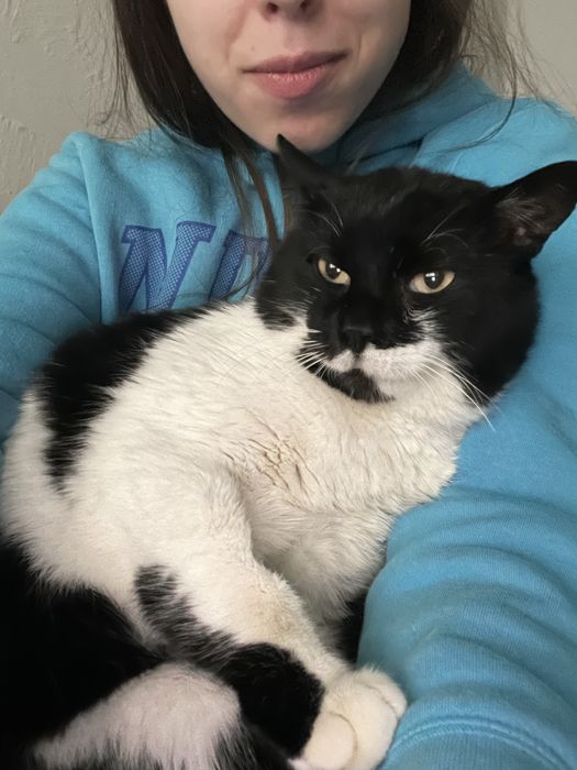 Котик шукає родину