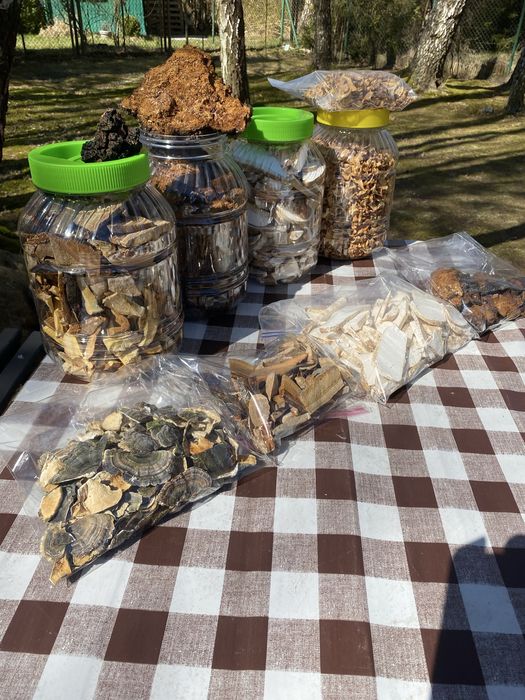 Wrośniak,Chaga,Białoporek,Pniarek.0,7 kg