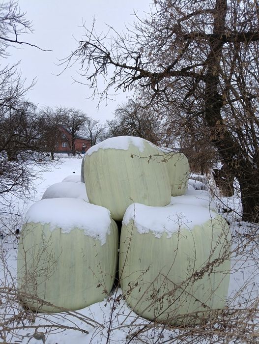 Sianokiszonka  3 pokos