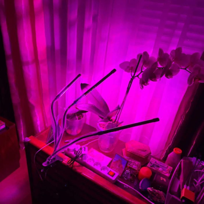 LED Фитолампа для растений садовая — полный спектр, яркости, таймер