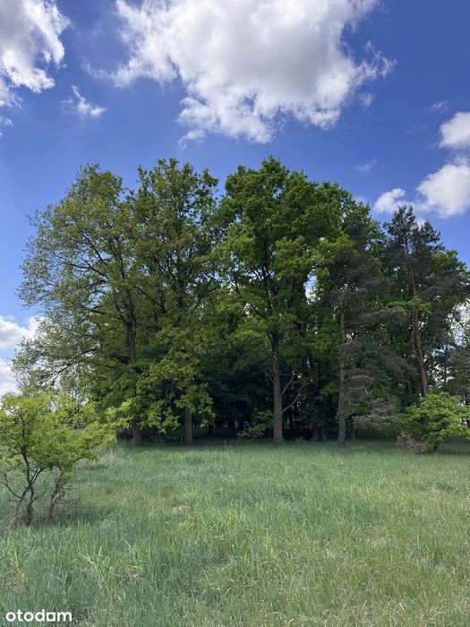 Działka  budowlana 1067 m² – Zła Wieś Mała (z MPZP)
