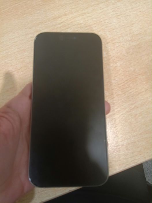 iPhone 16 Pro Max 256GB – Impecável