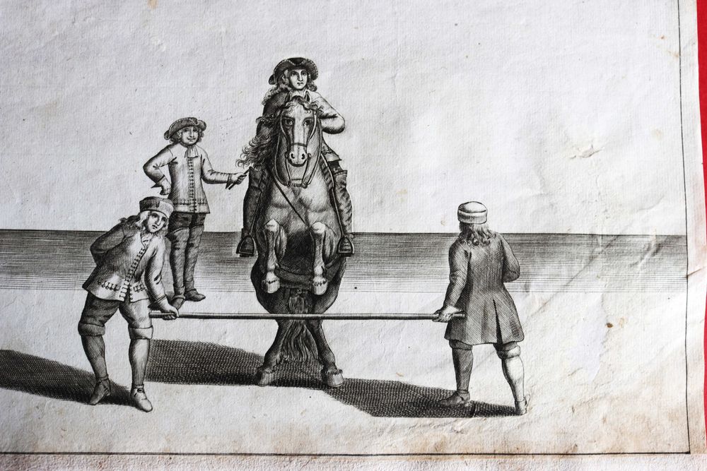 ARTE EQUESTRE treino de salto a cavalo gravura de 1701 rara