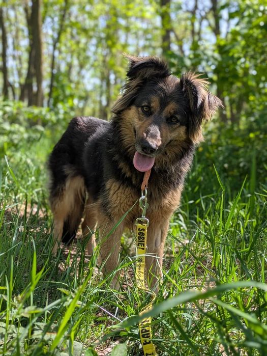 Puchata Agnes marzy o nowym domu!