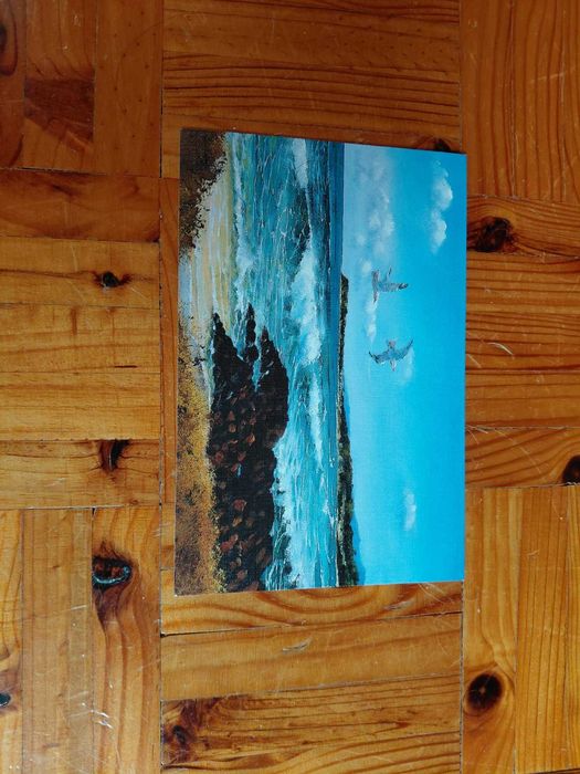 Postais sobre barcos e mar