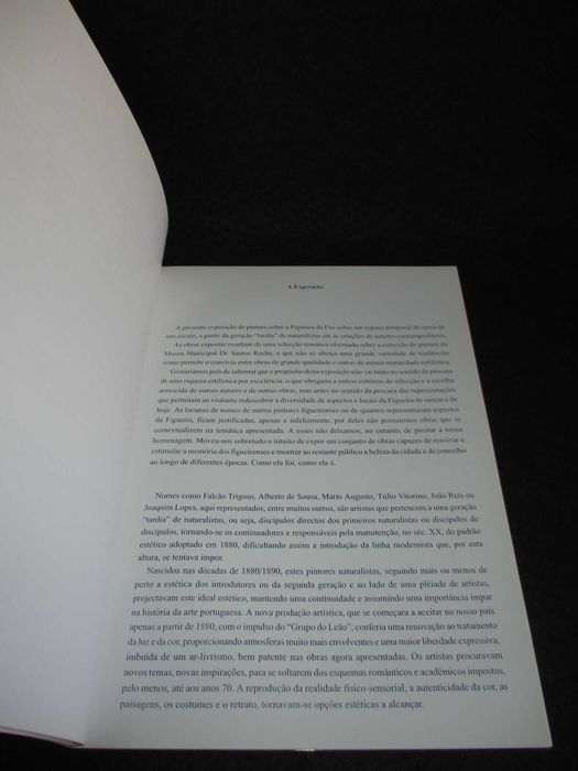 Livro Figueira Um Século de Pintura Teresa Folhadela Isabel Henriques