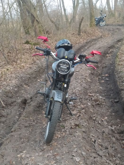 В продажі альфа мустанг 125